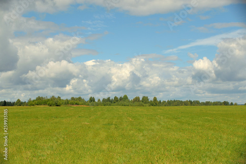 Summer landscape with meadow, trees, clouds, road. © Константин Занятных