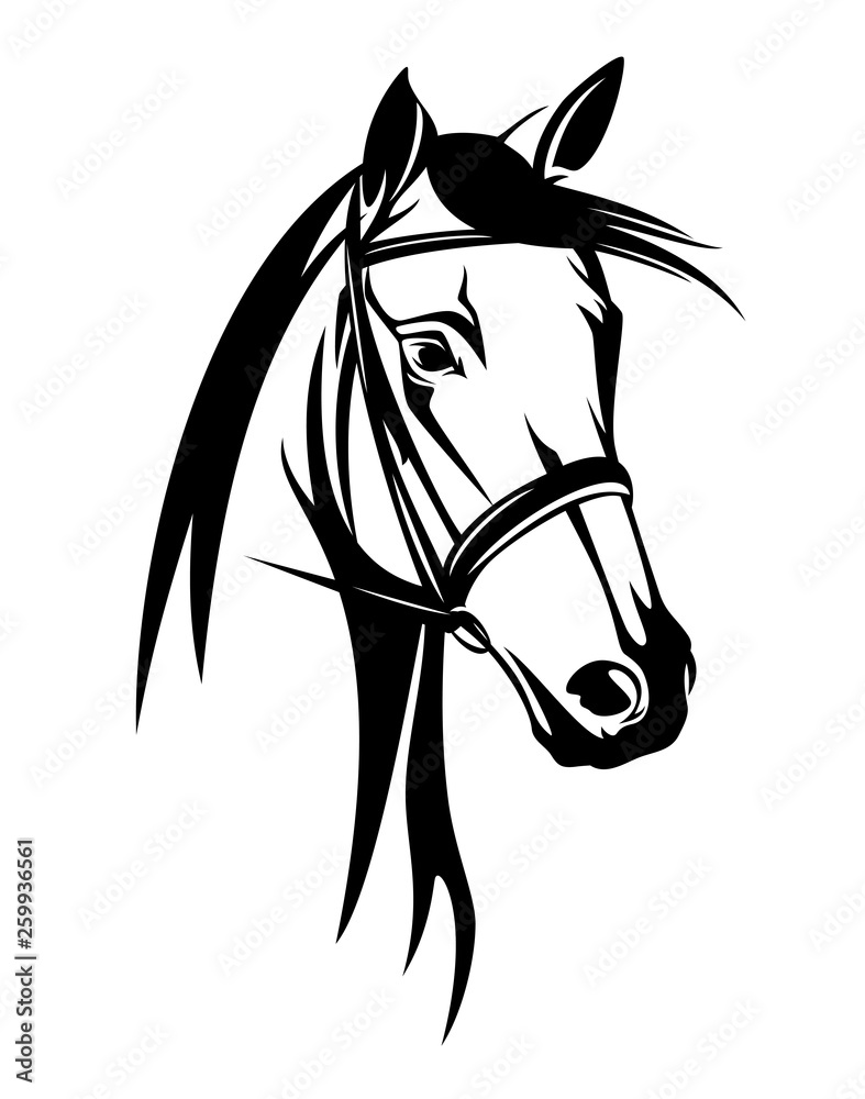 horse head with bridle - black and white equestrian sport vector
