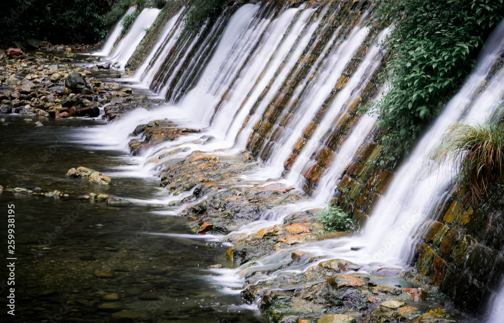 Obraz premium Golden Whip Stream