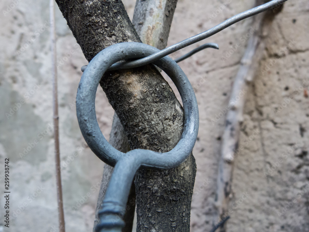 Iron and wire forms Iron and wire forms