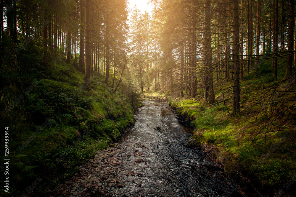 Obraz premium River Severn 