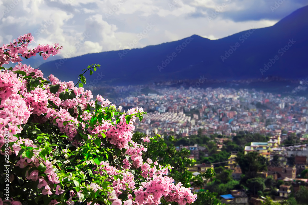 Fototapeta premium View of Kathmandu valley from the Swayambhunath temple. Kathmandu, Nepal