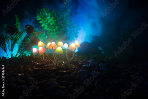 Fantasy glowing mushrooms in mystery dark forest close-up. Beautiful macro shot of magic mushroom or souls lost in avatar forest. Fairy lights on background with fog. © zef art