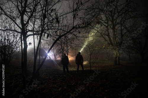 strange light in a dark forest at night. Silhouette of person standing in the dark forest with light. Dark night in forest at fog time. Surreal night forest scene. Horror halloween concept. Fairytale © zef art