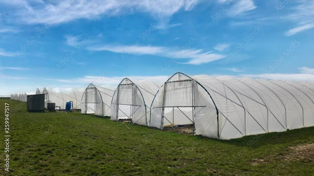 White modern plastic green houses against blue cloudy sky background in early spring. White modern plastic green houses against blue cloudy sky background in early spring.
