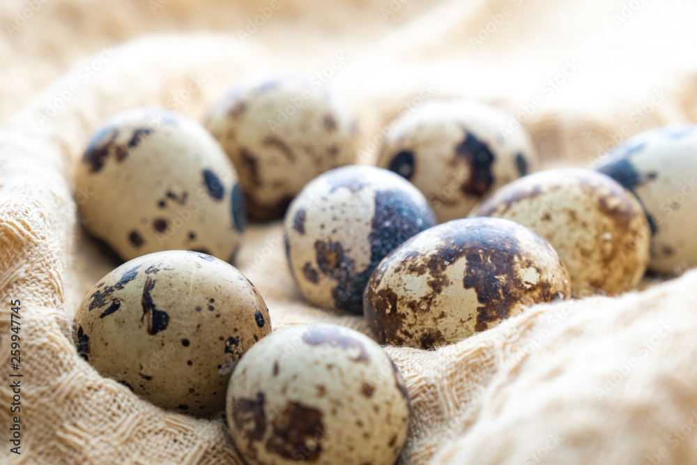 Fototapeta premium Small quail eggs on the cloth, product