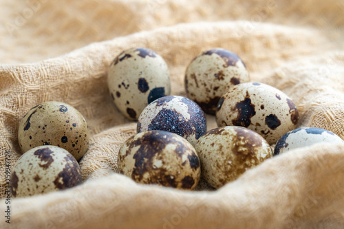 Small quail eggs on the cloth, product