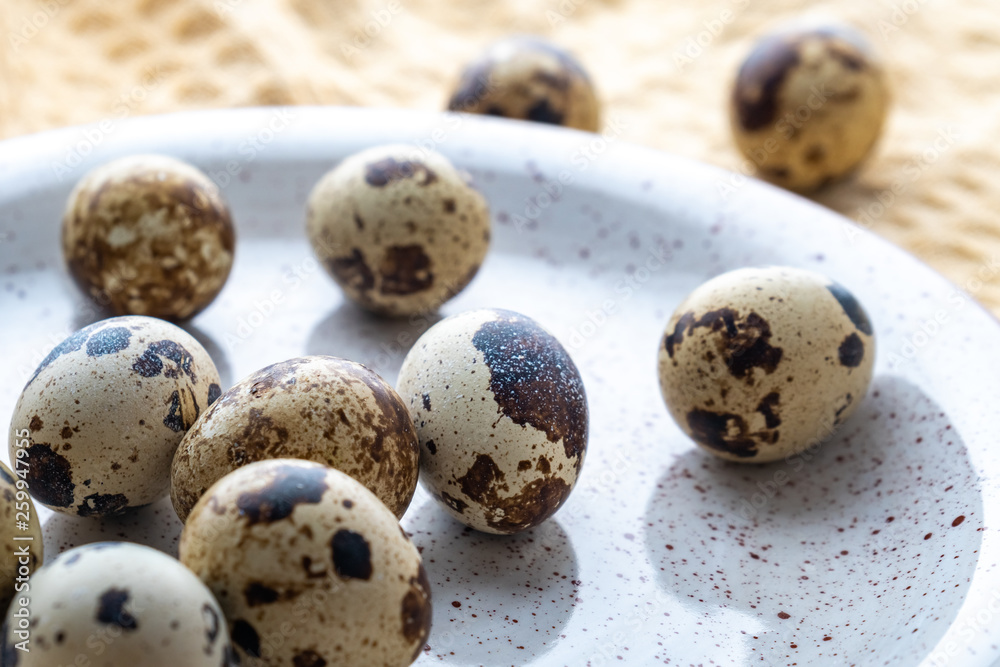 Quail Eggs on the gray plate, eco product Quail Eggs on the gray plate, eco product