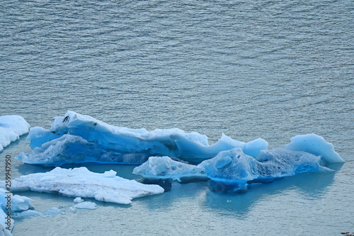 Icebergs of Perito Moreno Glacier Floating in the Lake Agentino, os Glaciares National Park, Patagonia, Argentina photo