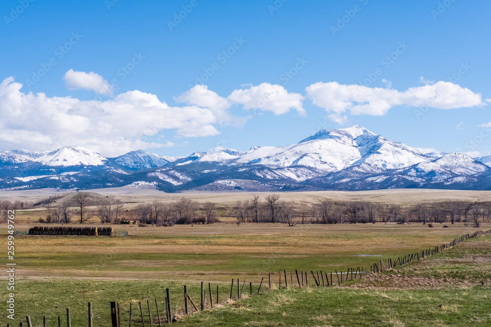 Bright green pasture in early spring with mountain behind Bright green pasture in early spring with mountain behind