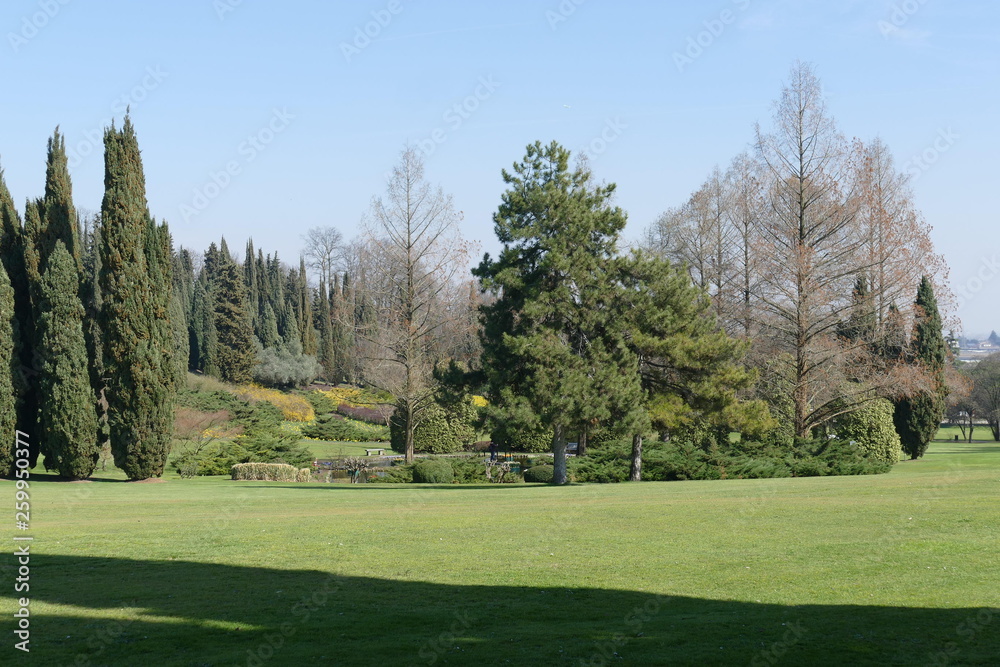 panorama of grassy lawn in Sigurtà garden park in the village of Valeggio on Mincio river