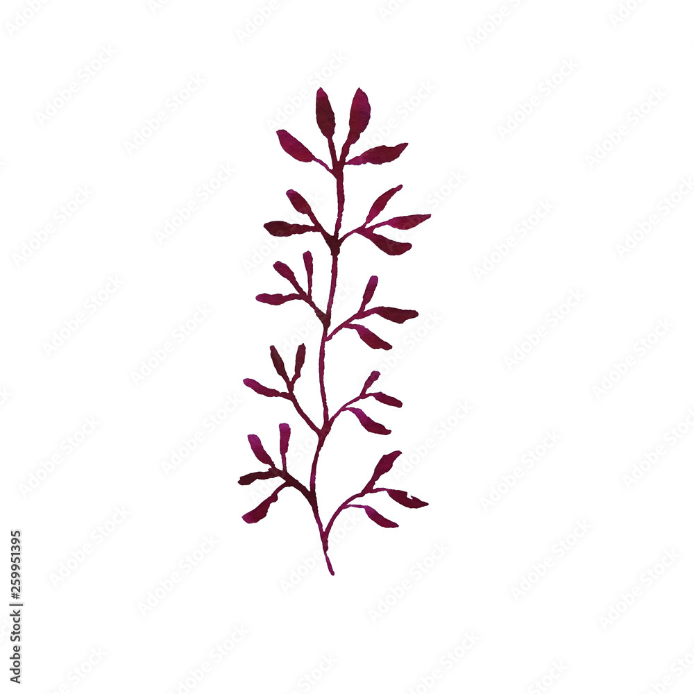 hand drawn watercolor purple twig isolated on white background