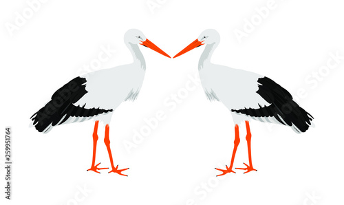 Stork couple in love vector illustration isolated on white background. Visitant, bird migration symbol. Baby time. Spring coming symbol.