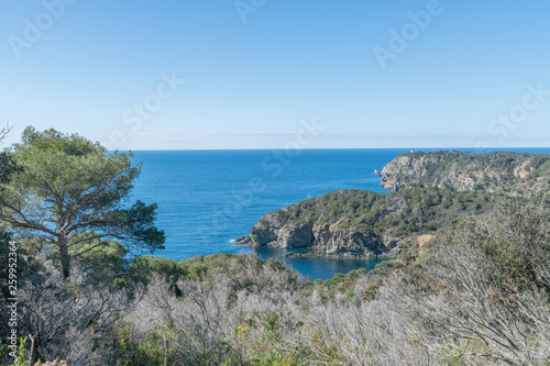 Fototapeta Naklejka Na Ścianę i Meble -  paysage de l'île de Porquerolles