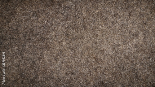  Gray felt texture