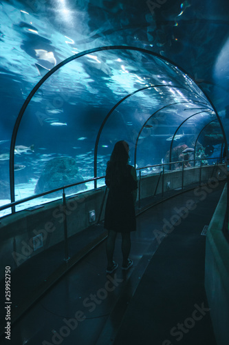 Girl observes the fishes that swim in the aquarium tunnel