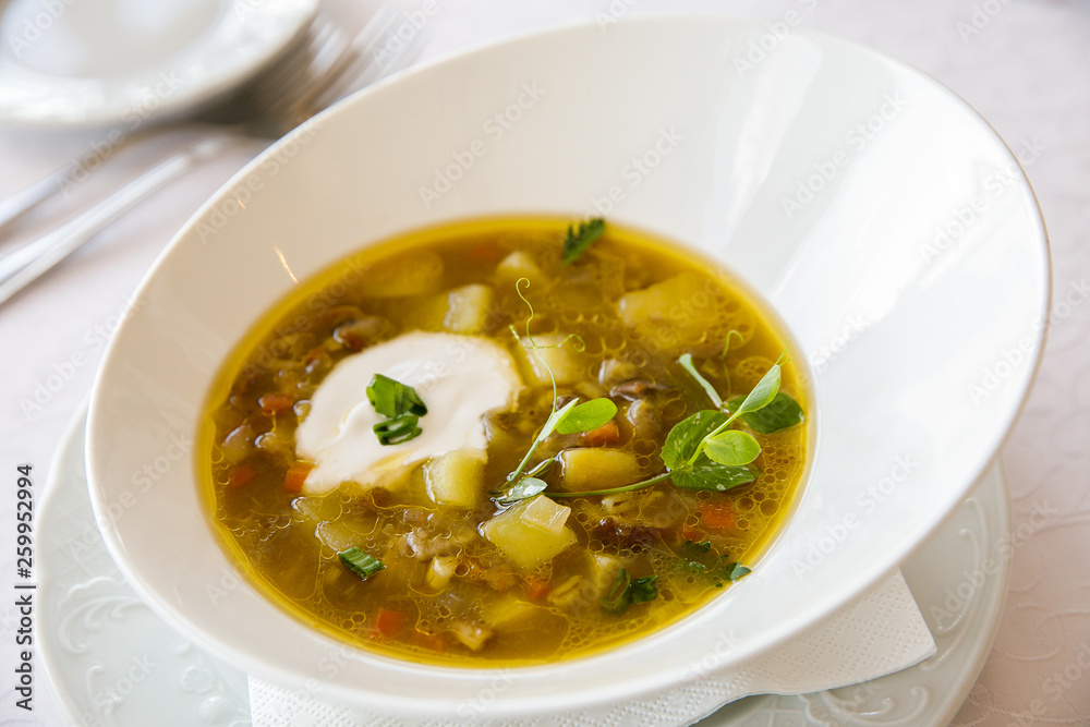 Mushroom Spring Soup