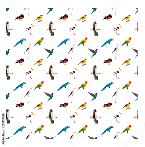 seamless pattern with various kinds of birds on white background