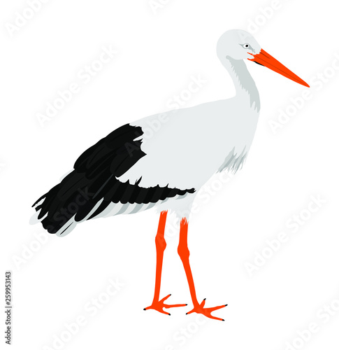 Stork vector illustration isolated on white background. Visitant, bird migration symbol. Baby time. Spring coming symbol.