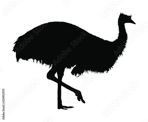 Emu vector silhouette illustration isolated on white background. Emu bird. Cartoon character. Australian endemic emu. Zoo illustration. Wild animal. Cute ostrich.