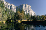 El Capitan and autumn colors reflected in the Merced River in early morning light in Yosemite National Park