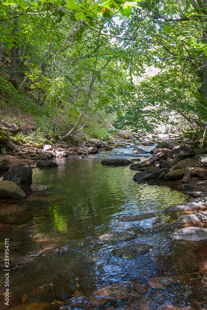 Spain. River and forest of Palencia mountain. Palencia Spain. River and forest of Palencia mountain. Palencia