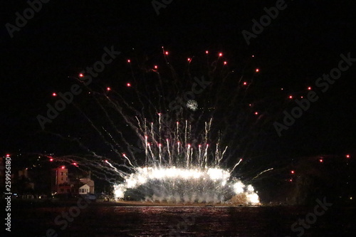 Focs photo