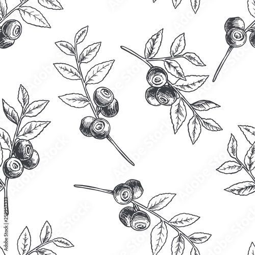 Vector vintage seamless floral pattern with blueberry isolated on white. Hand drawn botanical texture with forest berries in engraving style