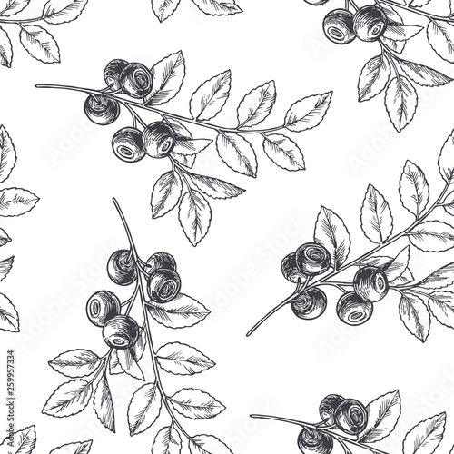 Vector vintage seamless floral pattern with blueberry isolated on white. Hand drawn botanical texture with forest berries in engraving style