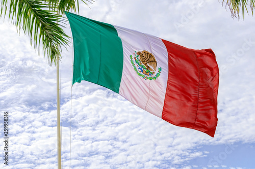 Against the backdrop of palm trees and blue sky Mexico flag.
