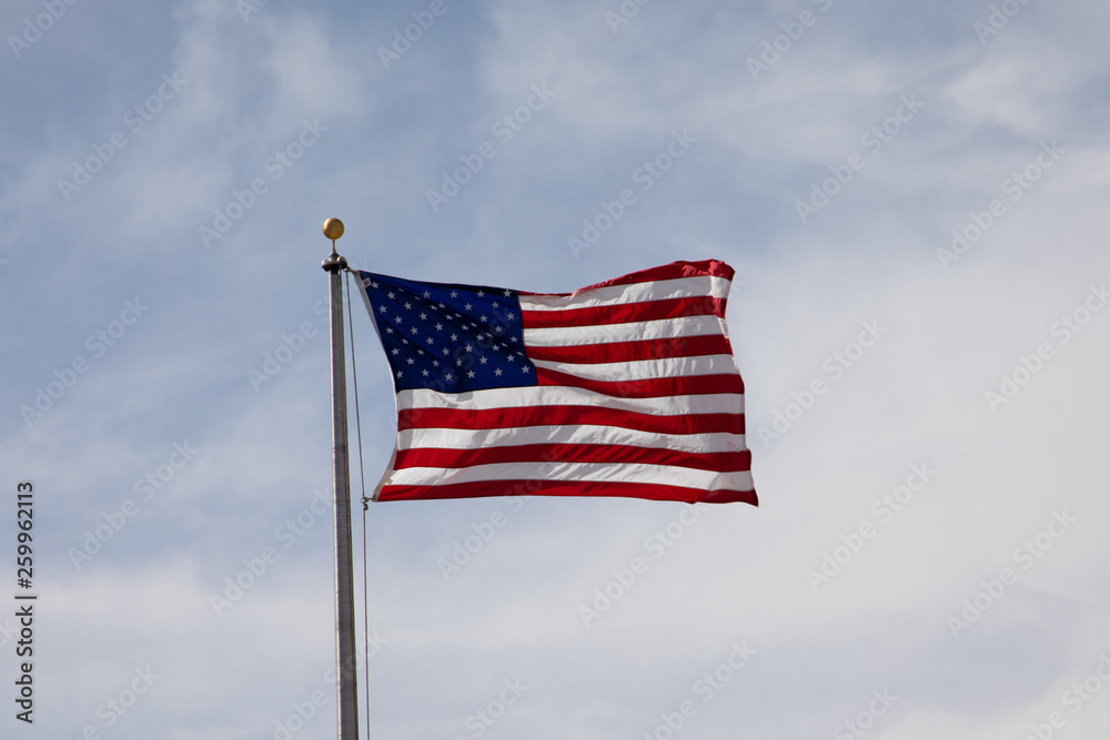 US American Flag in the Wind