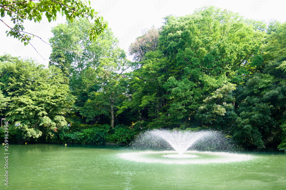 fountain in park