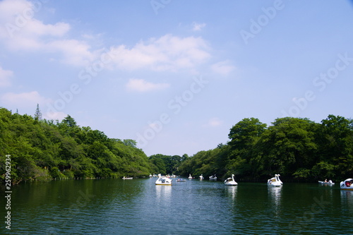 Obraz na płótnie landscape with river w salonie