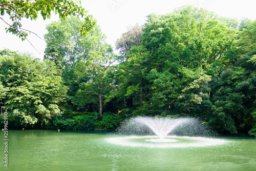 Obraz na płótnie fountain in park w salonie