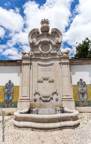 Water Fountain of the Junqueira. Translation: Free Waters; Year of 1821 photo