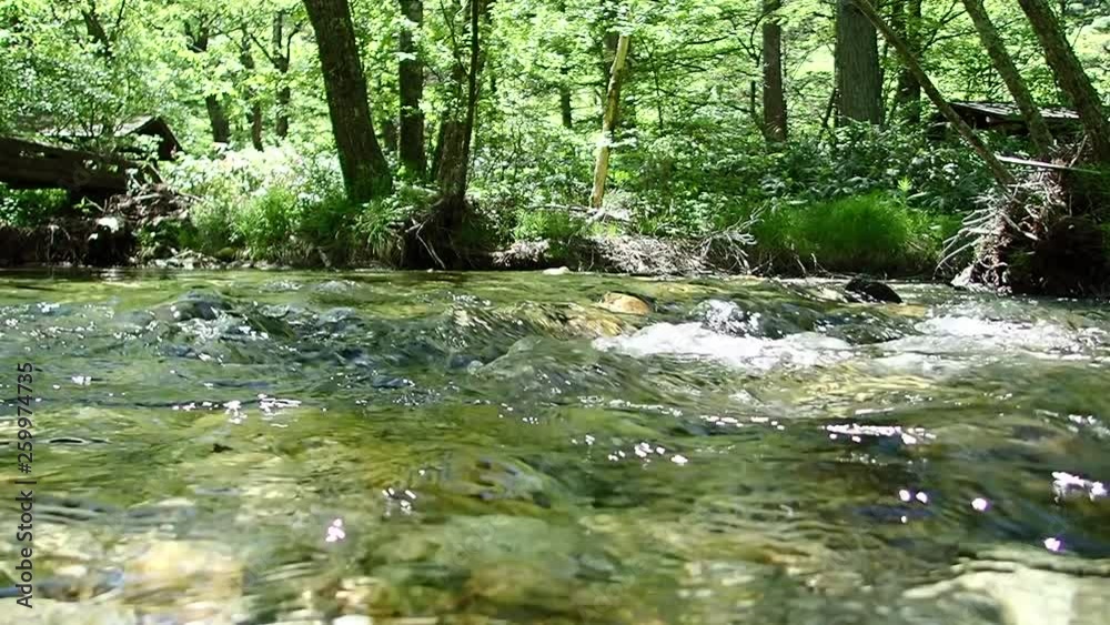 勢いよく流れる小川の水面 勢いよく流れる小川の水面