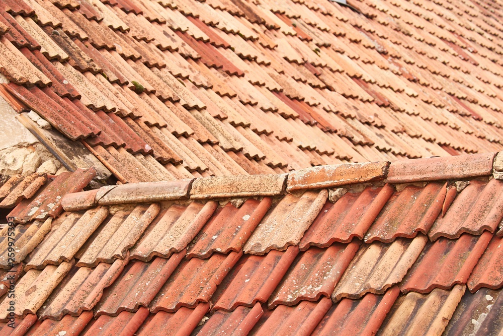 Roof tiles texture