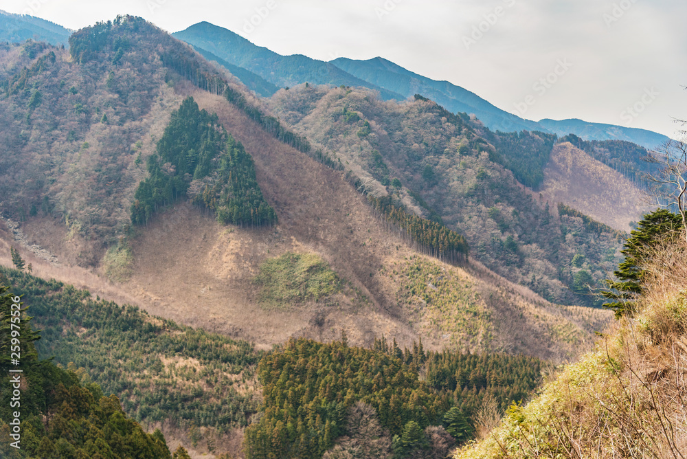 愛媛県・河之内（かわのうち）の谷合い風景, 山