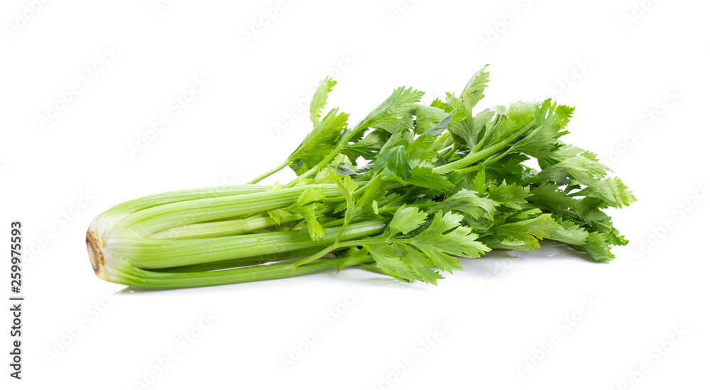 Fresh celery isolated on white background. full depth of field