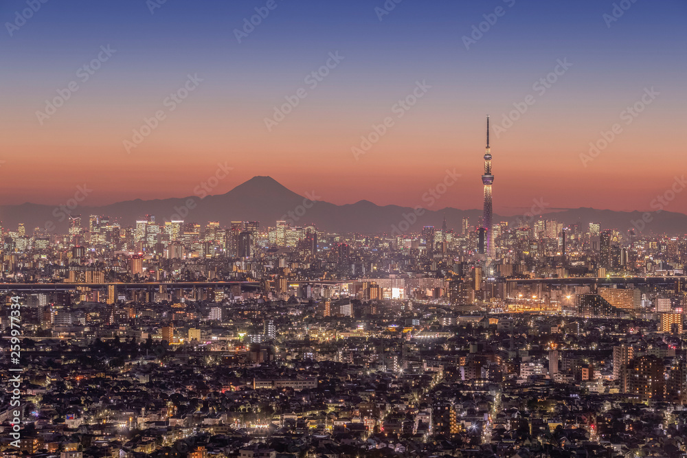 Tokyo city night view with Mt.Fuji