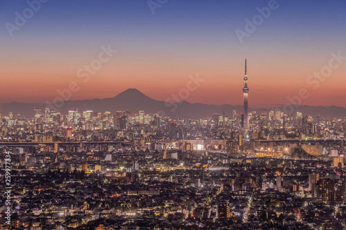 Tokyo city night view with Mt.Fuji © torsakarin