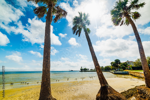 Vinoy park beach under a shining sun photo