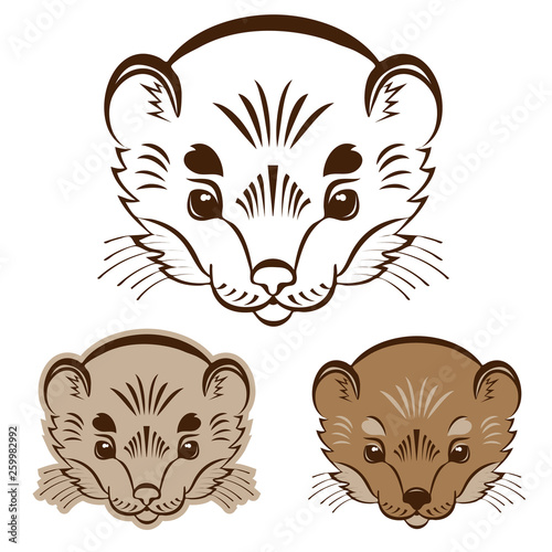 Logo ermine head. Stylized mascot.