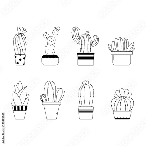 Cute hand drawn line cactus in the pots