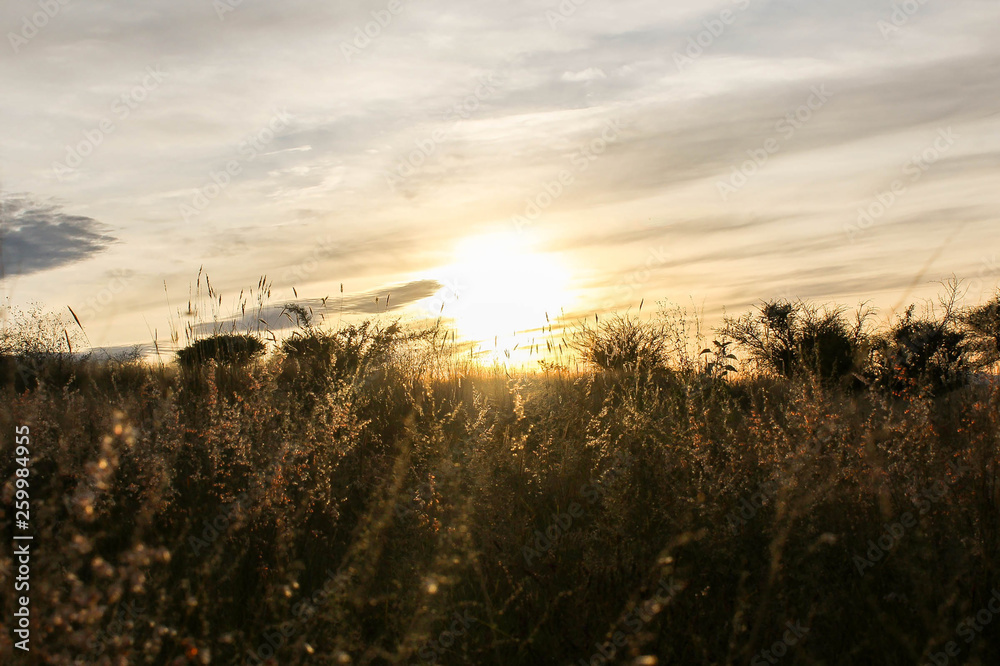 Fototapeta premium Atardecer al aire libre