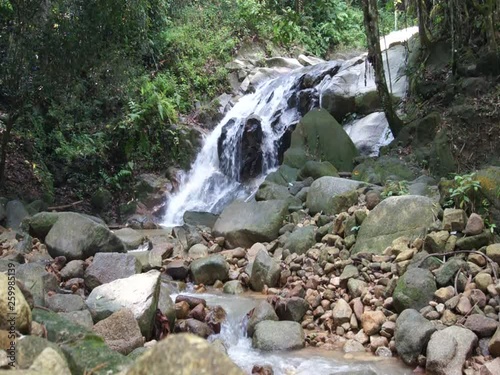 waterfall in the forest