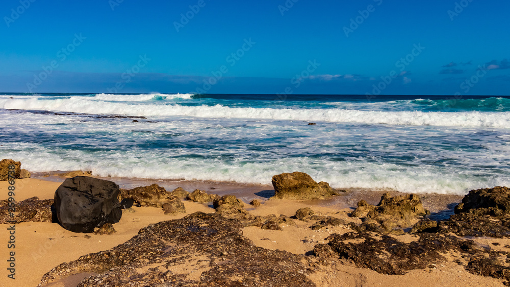 Fototapeta premium Hawaiian beach with blue waves