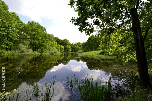 Fototapeta Naklejka Na Ścianę i Meble -  Lake in the Park in spring