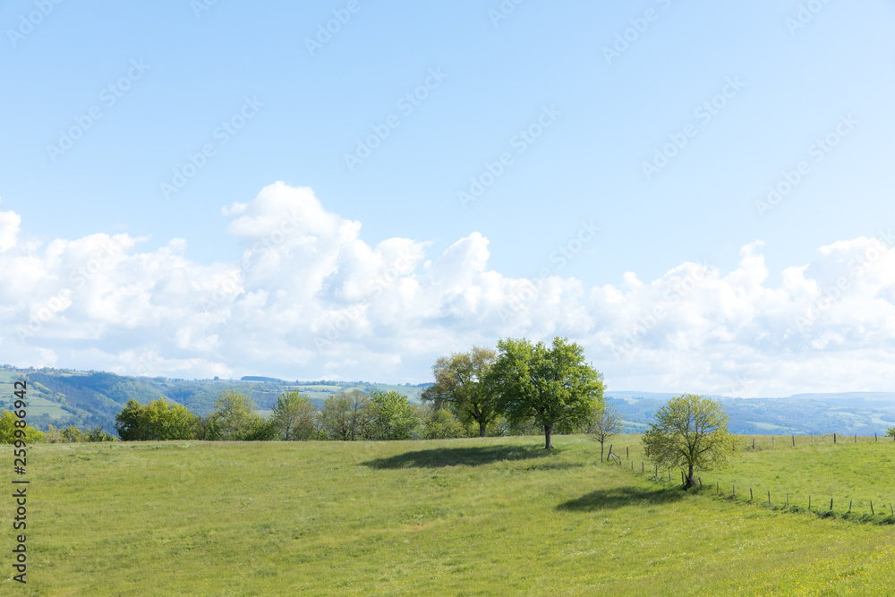 青空と丘の上の木々
