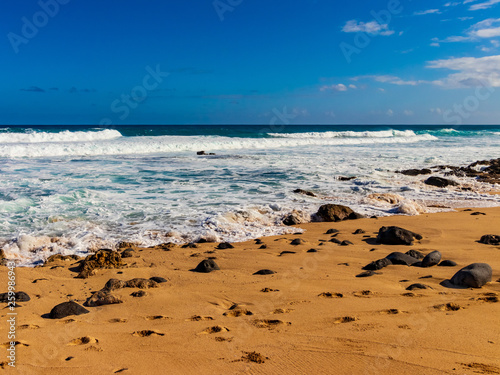 Hawaiian beach with blue waves © PixelView.Media